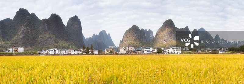 金秋山村稻田风光图片素材