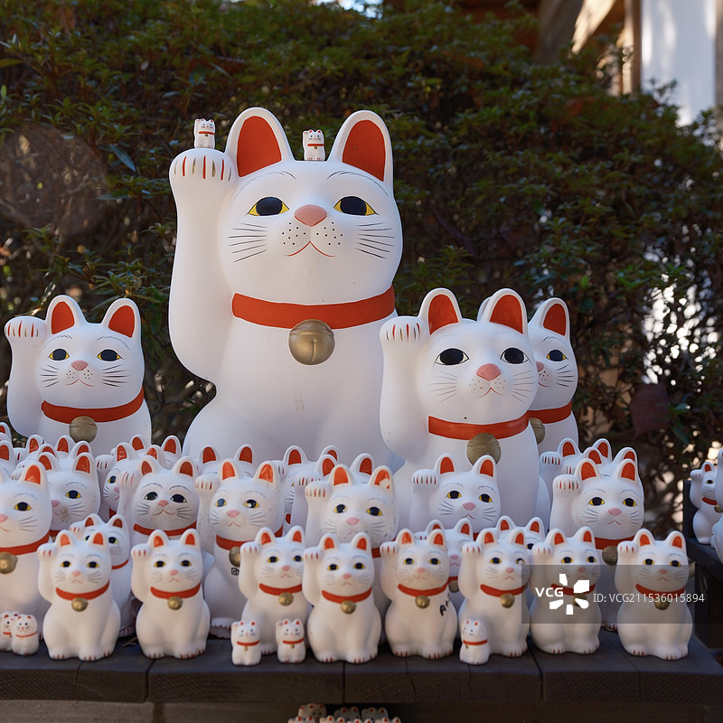 东京—豪德寺图片素材