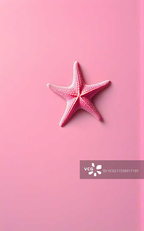 粉红色背景下海星的高角度视图图片素材