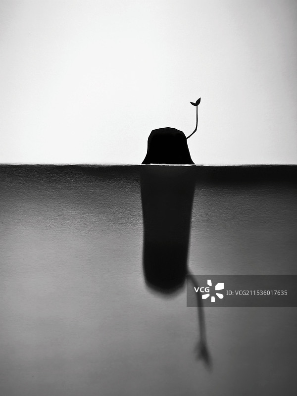 枯木逢春图片素材