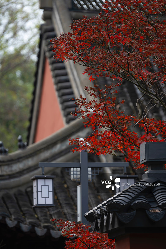 清凉寺图片素材