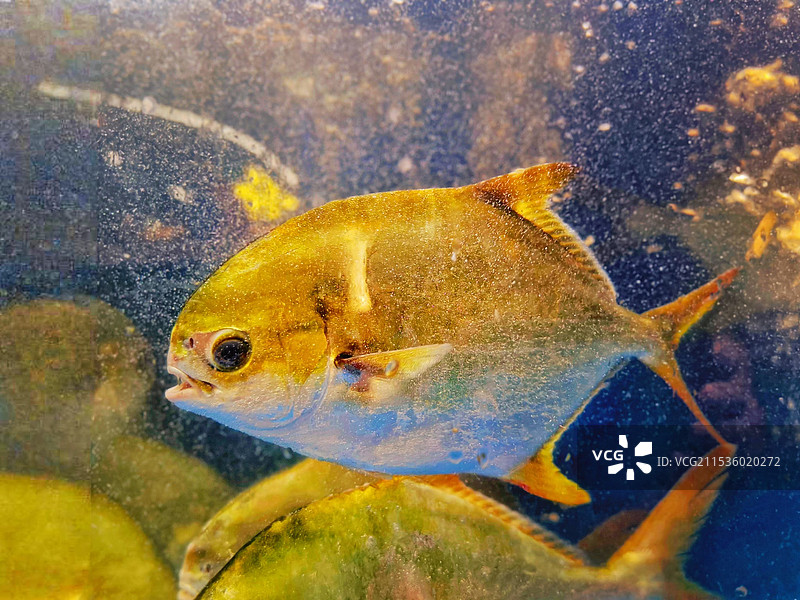 闲游…图片素材