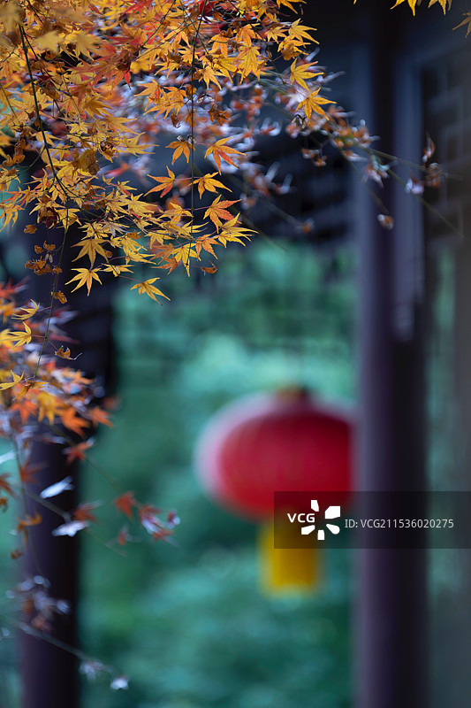 清凉寺图片素材