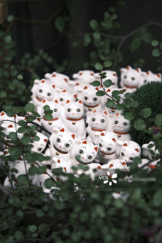 东京 今户神社 招财猫的发源地 冲田总司的终焉之地图片素材