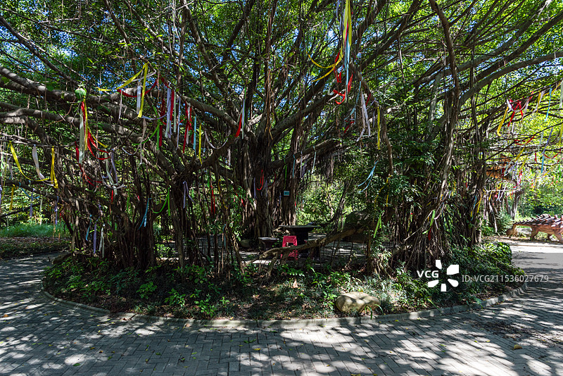 东莞市道滘镇粤晖园恐龙园图片素材