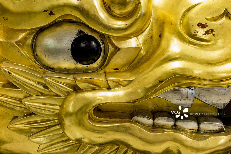 名古屋城的虎鲸图片素材