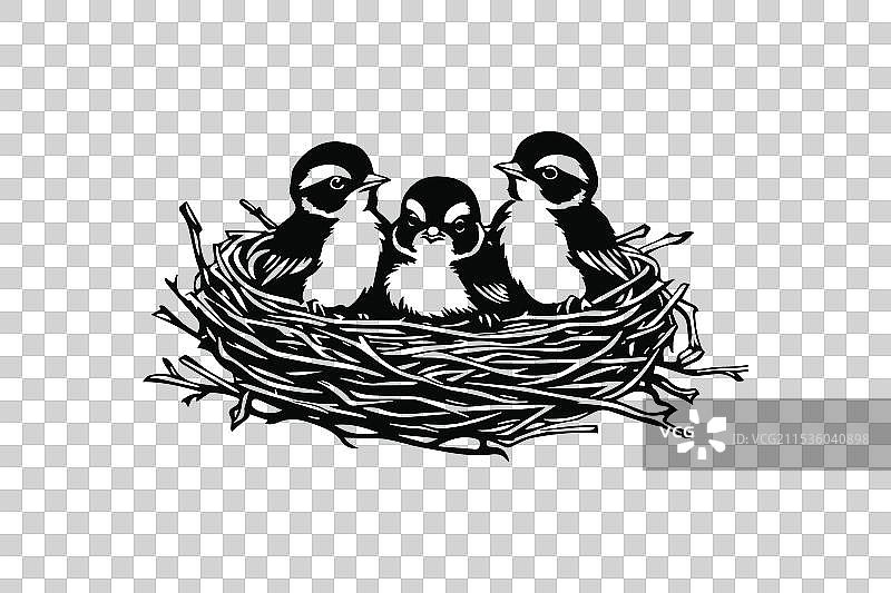 三只小鸟坐在一起图片素材