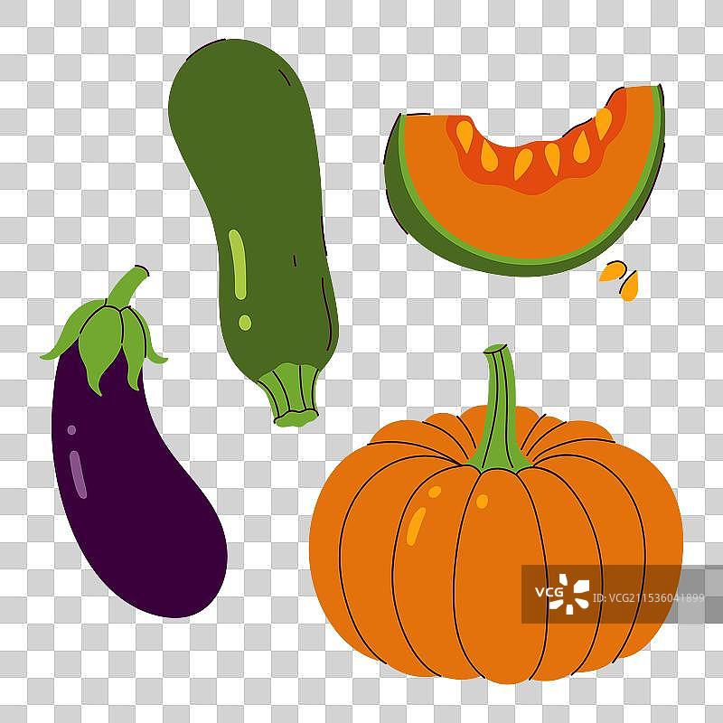 一组蔬菜：西葫芦、南瓜和茄子图片素材
