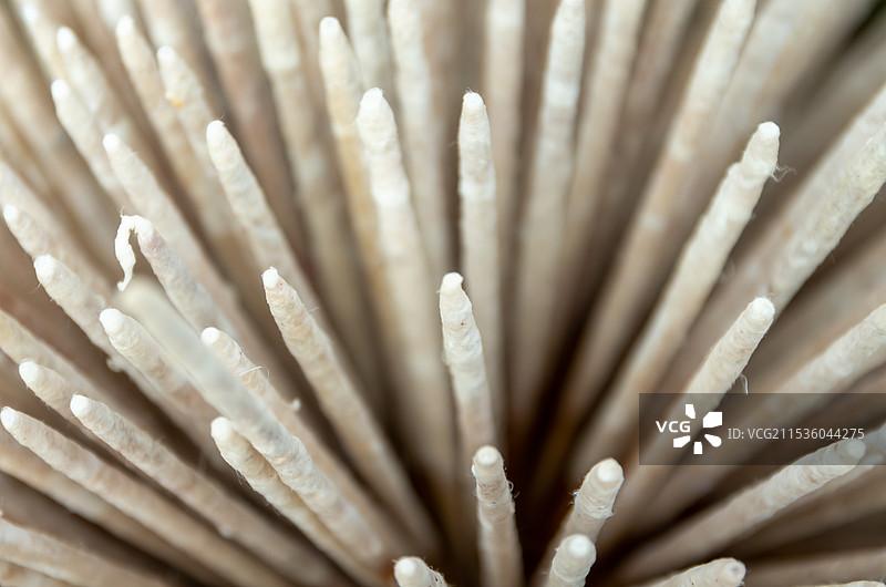 广东肇庆广宁县的竹子加工的香烛芯图片素材