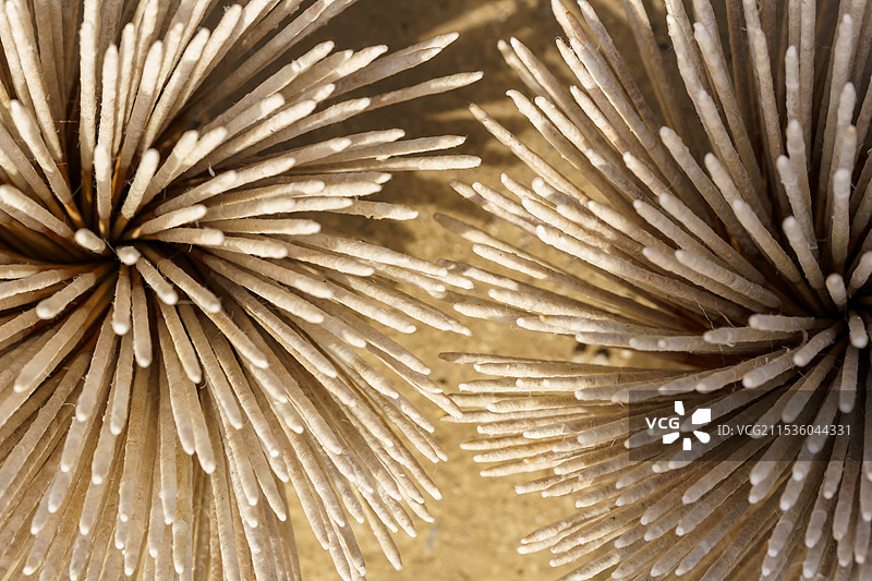 广东肇庆广宁县的竹子加工的香烛芯图片素材