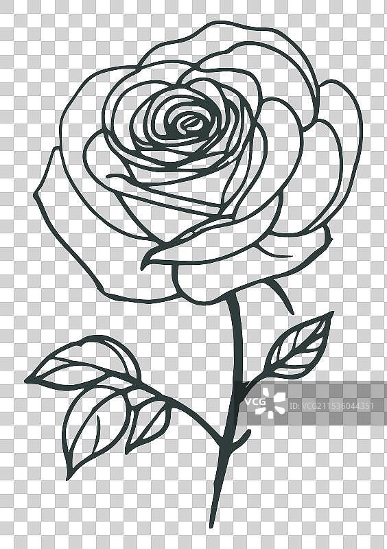 优雅的玫瑰线条艺术图片素材