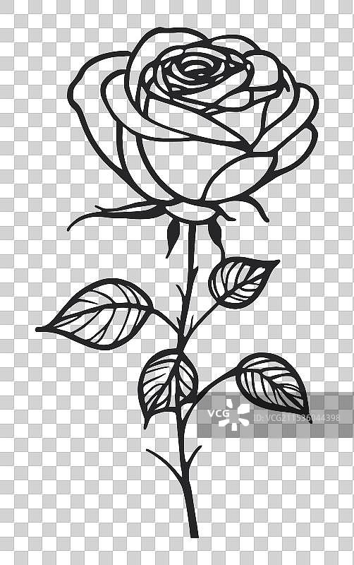 优雅的玫瑰线条艺术图片素材
