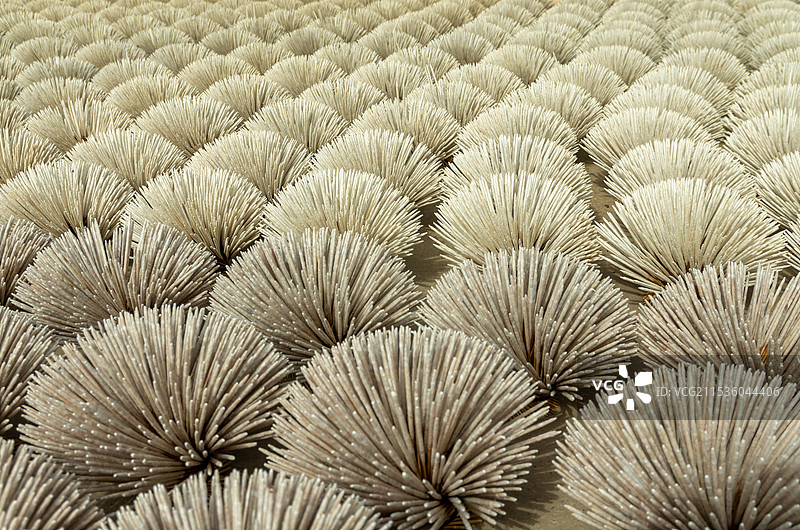 广东肇庆广宁县的竹子加工的香烛芯图片素材