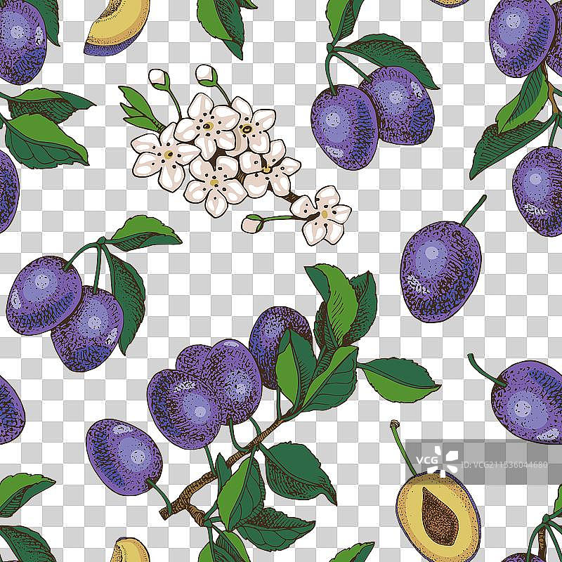 梅子无缝图案图片素材