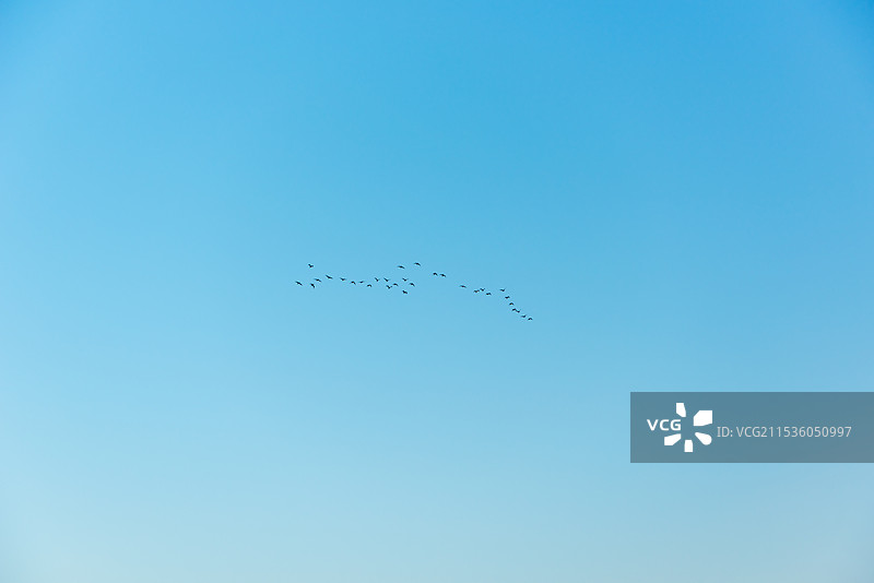 鸟瞰蓝天的低视角图片素材