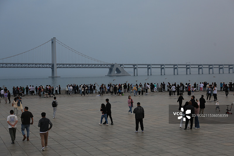 夏季的星海广场游人如织图片素材