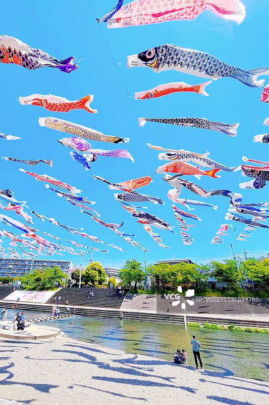 五彩缤纷的鲤鱼旗在空中飞扬图片素材
