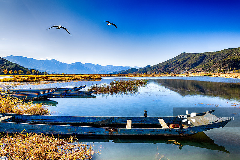 泸沽湖草海风光图片素材