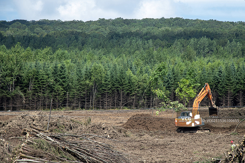 林场采伐作业图片素材