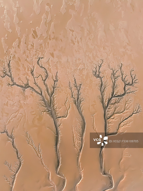 日落时分航拍浙江省嘉兴市海宁市钱塘江潮汐树。图片素材