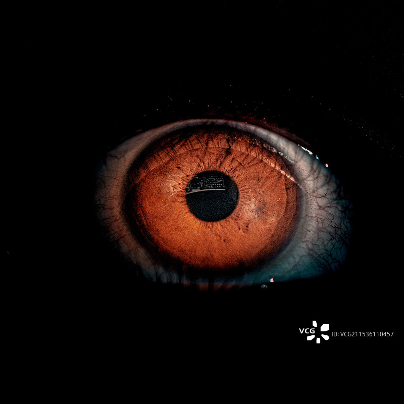瞳孔倒影图片素材