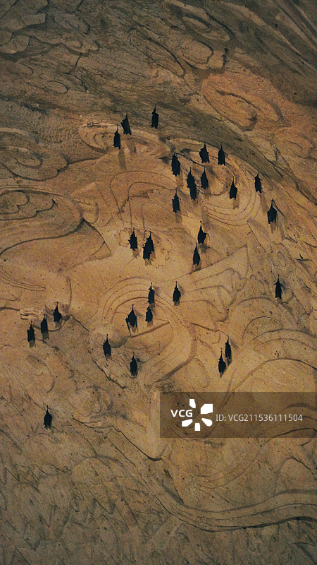 新昌大佛寺图片素材