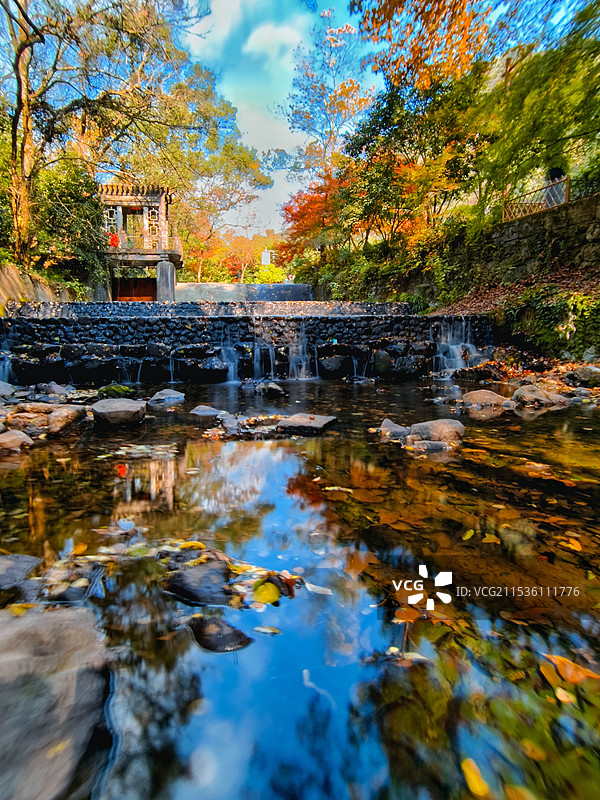 西湖九溪烟树风光图片素材