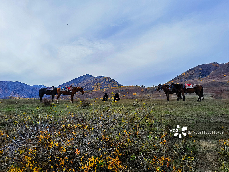 休闲时光摄于阿勒泰禾木草原图片素材
