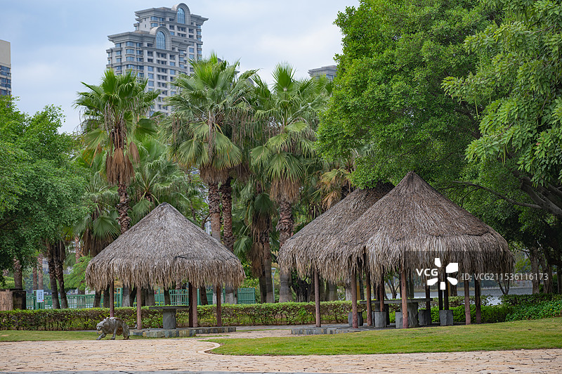 厦门园博苑里面的草棚子与背景的高楼大厦图片素材