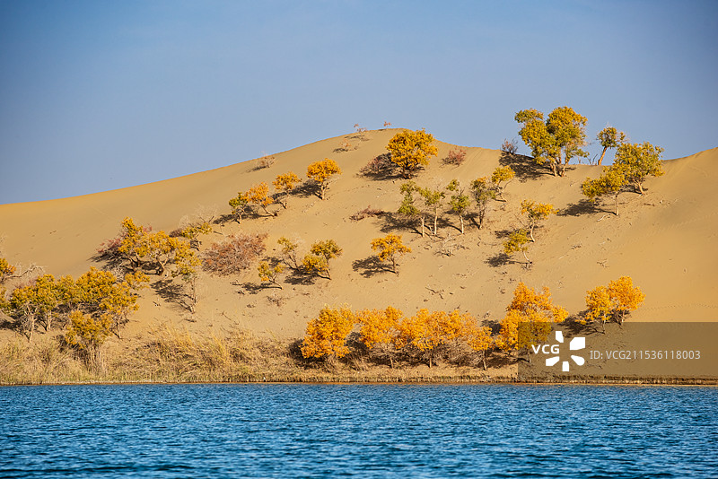 南疆尉犁县-塔塔秘境-罗布湖风景游览区图片素材