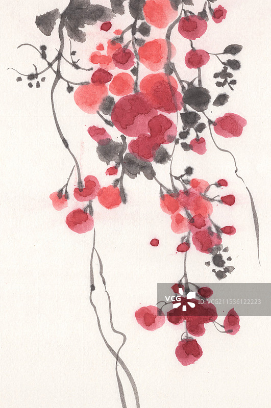 国画花朵插画图片素材