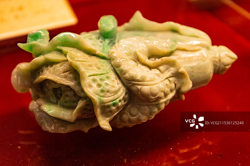 番禺宝墨园藏白菜翠玉图片素材