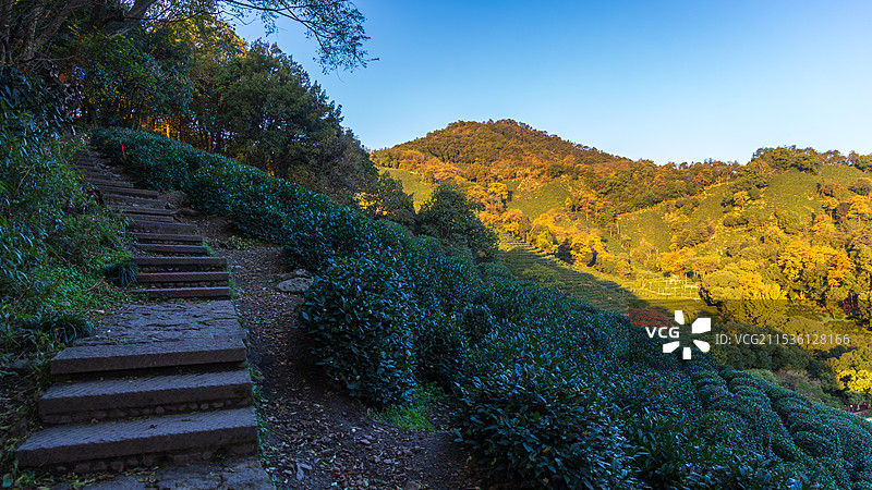 杭州九溪龙井村十里锒铛风光图片素材