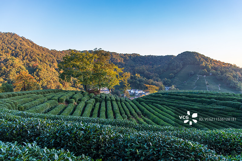 杭州九溪龙井村十里锒铛风光图片素材