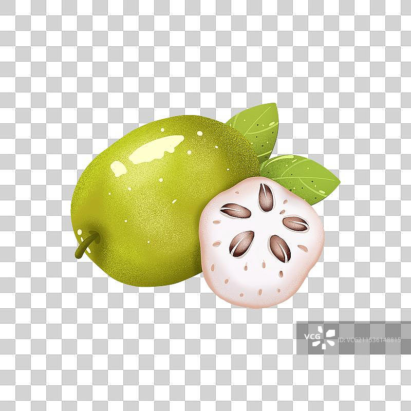 青酸枣五眼六通菩提果图片素材