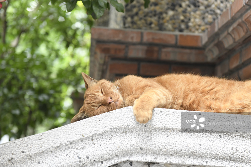 思南公馆图片素材