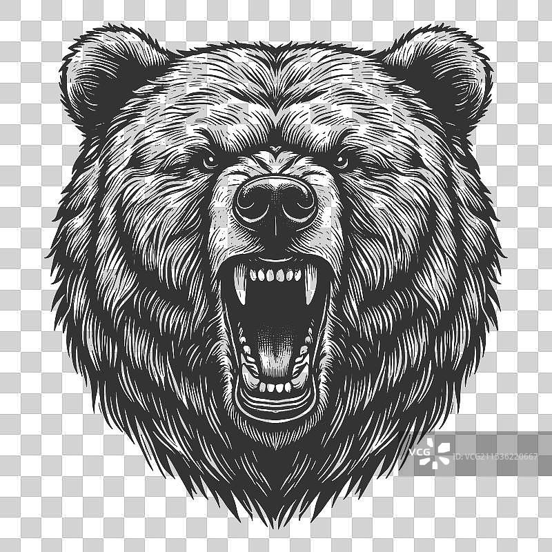 咆哮的灰熊纹身雕刻图片素材
