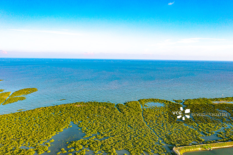北海金海湾红树林生态旅游区图片素材