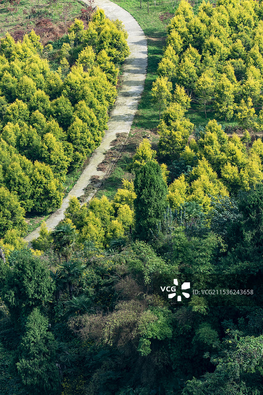 重庆巴南丰盛古镇图片素材