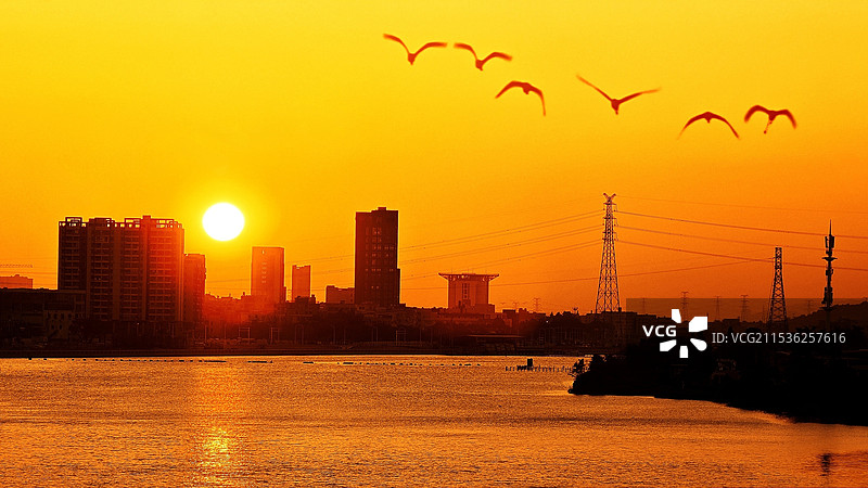 日落鸟归巢图片素材