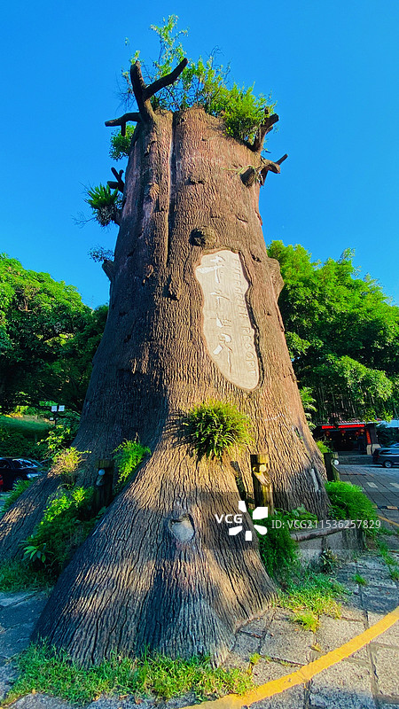 深圳青青世界旅游景区图片素材