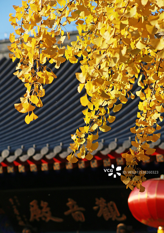 天津峰山药王古庙秋景图片素材