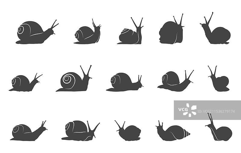 蜗牛剪影 蜗牛SVG 海蜗牛SVG图片素材