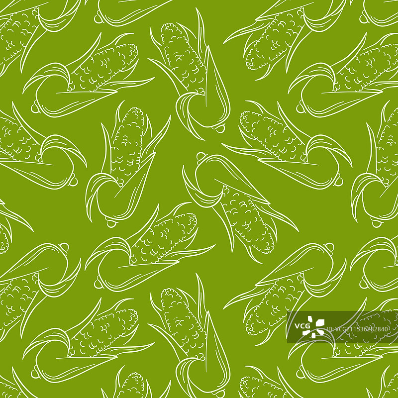 无缝玉米图案，线条艺术风格图片素材
