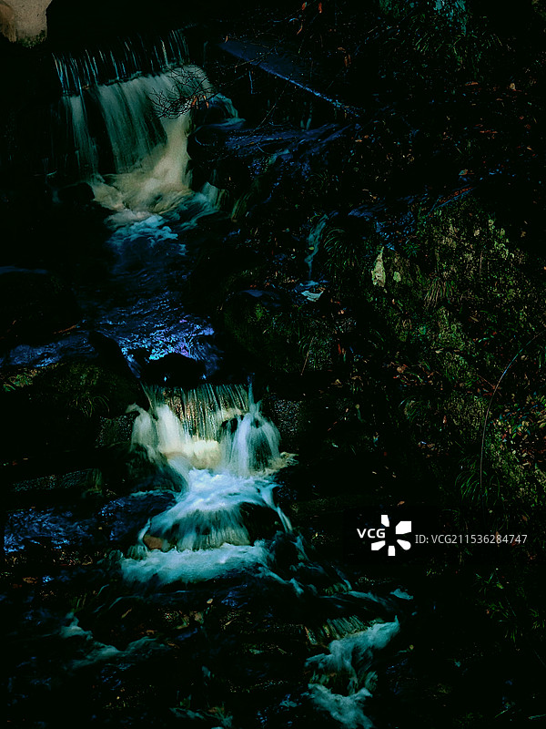 森林瀑布的低角度视图图片素材