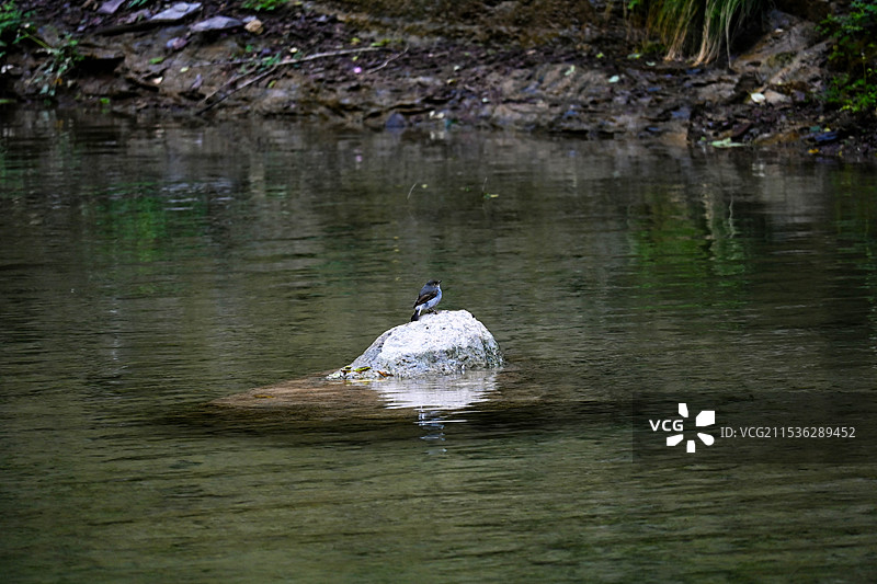 河南云台山·泉瀑峡·潭瀑峡图片素材