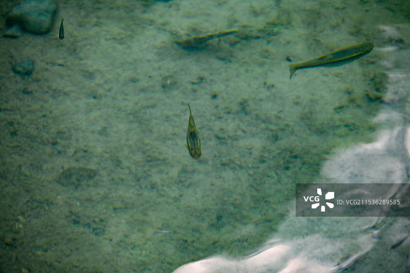 河南云台山·泉瀑峡·潭瀑峡图片素材