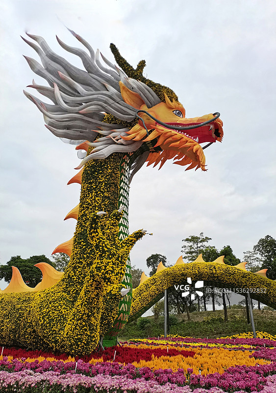 用鲜花打造的龙图片素材