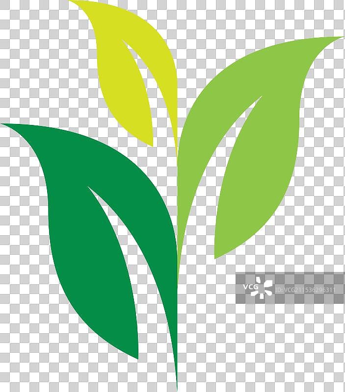 V形叶子logo设计 叶子图标图片素材