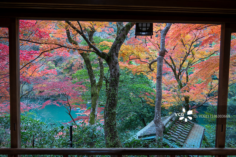 秋天枫叶季节图片素材